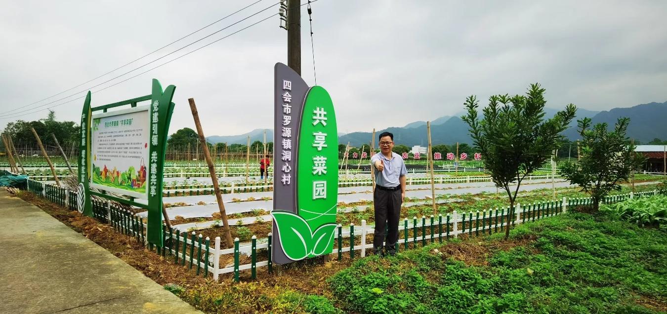 肇庆四会市罗源镇共享菜园喜获丰收