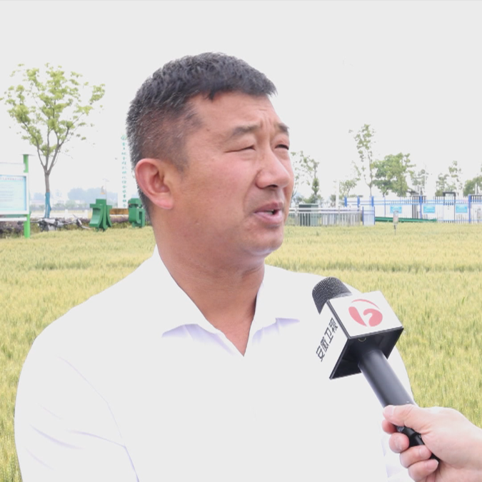 颍州区三塔集镇洲孜村田长 种粮大户张少清农民增收确保小麦丰产 丰收