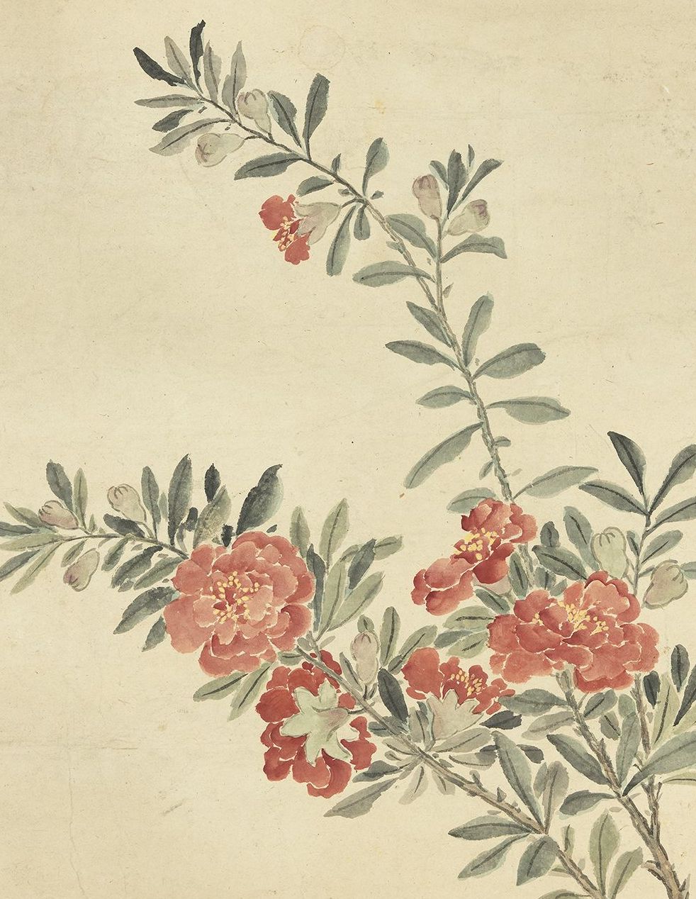 清 陈舒 画天中佳卉 轴 台北故宫博物院藏