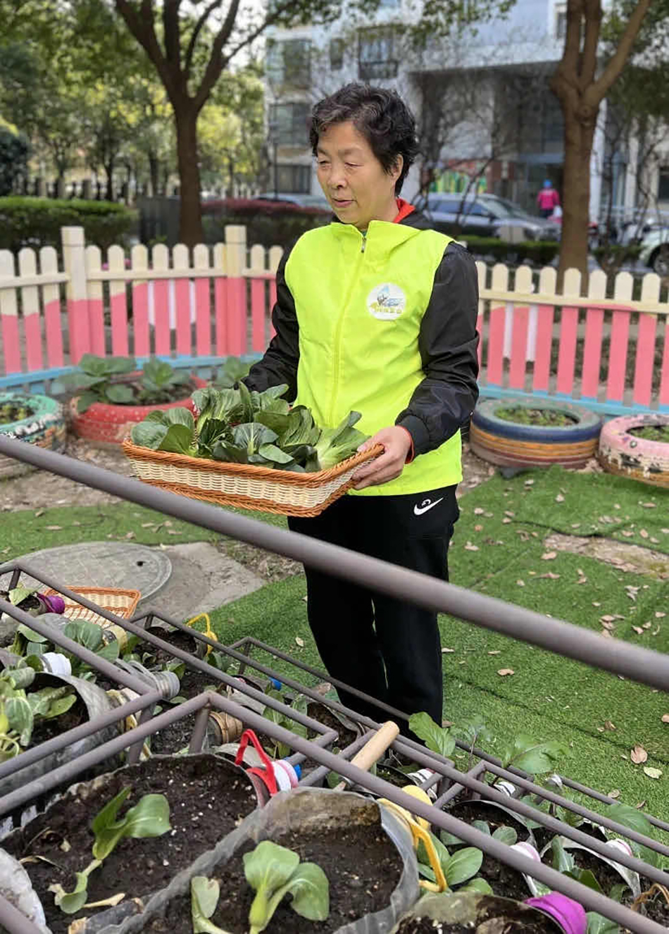 源于垃圾分类，上海这处“瓶子菜园”为封控下的独居老人供菜