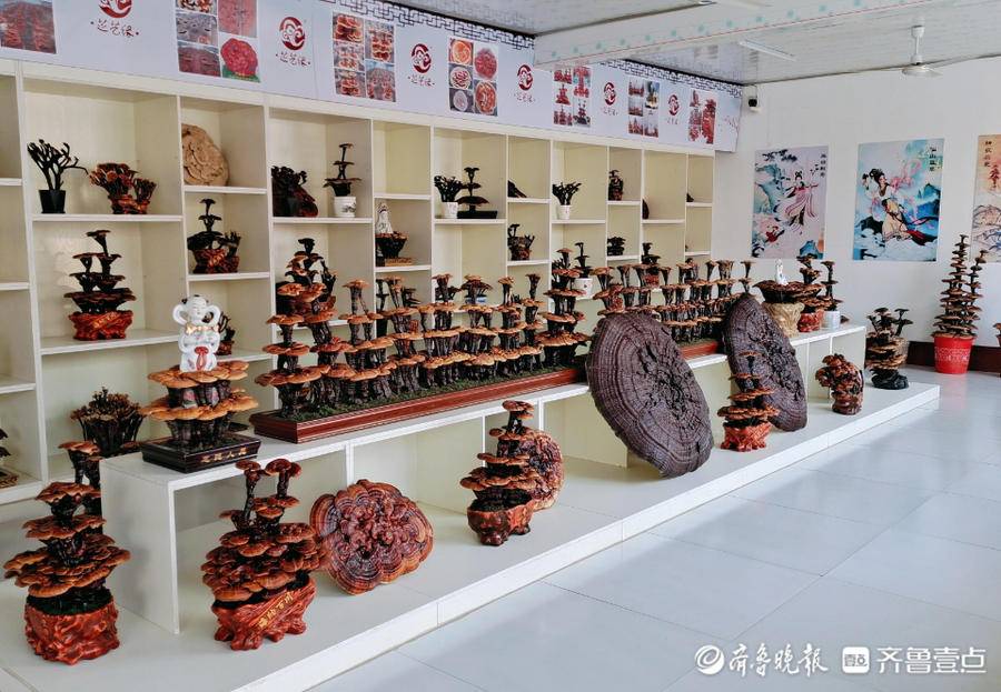 毛白杨林场—东古城镇田马园村—灵芝文化产业园—冠县玫瑰小镇