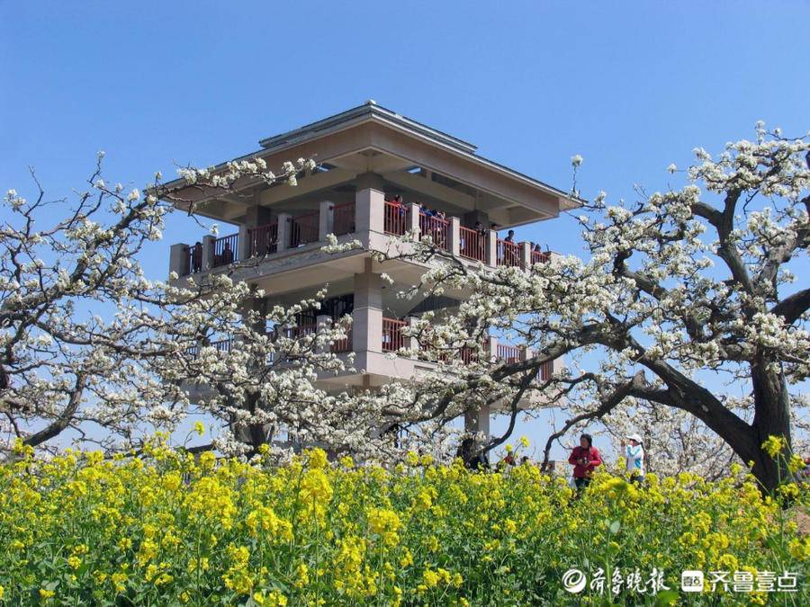 冠县坚持文旅与康养深度融合打造精品旅游体验