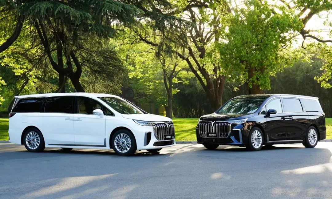 都卖大几十万，梦想家和腾势D9究竟怎么选？