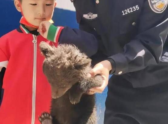 男子大兴安岭偶遇2只“小黑狗”,想抱回家养,却被告知“快跑”休闲区蓝鸢梦想 - Www.slyday.coM 男子大兴安岭偶遇2只“小黑狗”,想抱回家养,却被告知“快跑”休闲区蓝鸢梦想 - Www.slyday.coM