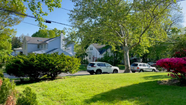 鸟语花香的纽约郊区