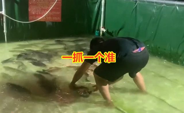 广东男子花100元体验5分钟抓鱼,谁知一抓一个准,老板大喊你慢点休闲区蓝鸢梦想 - Www.slyday.coM 广东男子花100元体验5分钟抓鱼,谁知一抓一个准,老板大喊你慢点休闲区蓝鸢梦想 - Www.slyday.coM