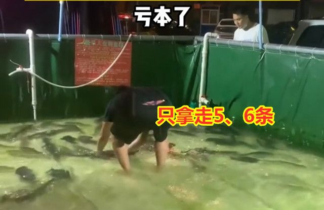 广东男子花100元体验5分钟抓鱼,谁知一抓一个准,老板大喊你慢点休闲区蓝鸢梦想 - Www.slyday.coM 广东男子花100元体验5分钟抓鱼,谁知一抓一个准,老板大喊你慢点休闲区蓝鸢梦想 - Www.slyday.coM