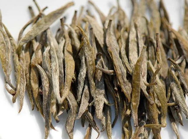 你的茶长毛没别扔看这几种顶级毛茶你就懂了