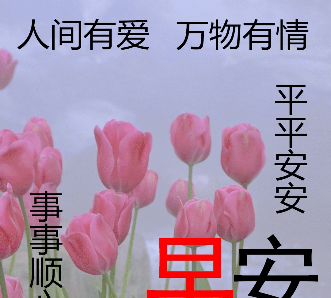 漂亮早上好鲜花祝福动态图片早安夏日人间有爱万物有情