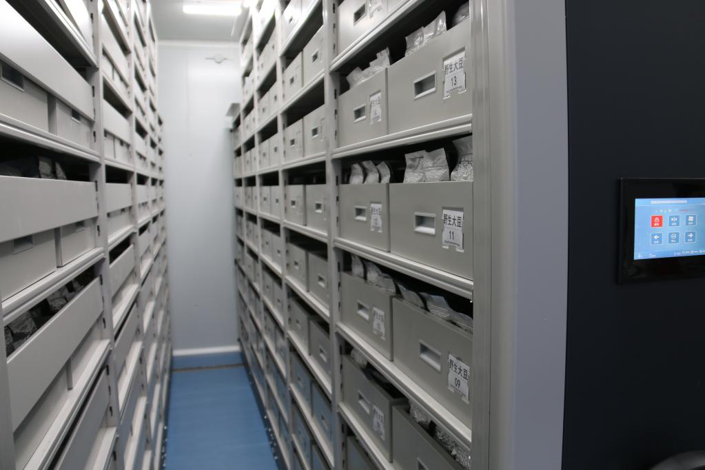 我国唯一寒地作物种质资源库保存容量提到20万份