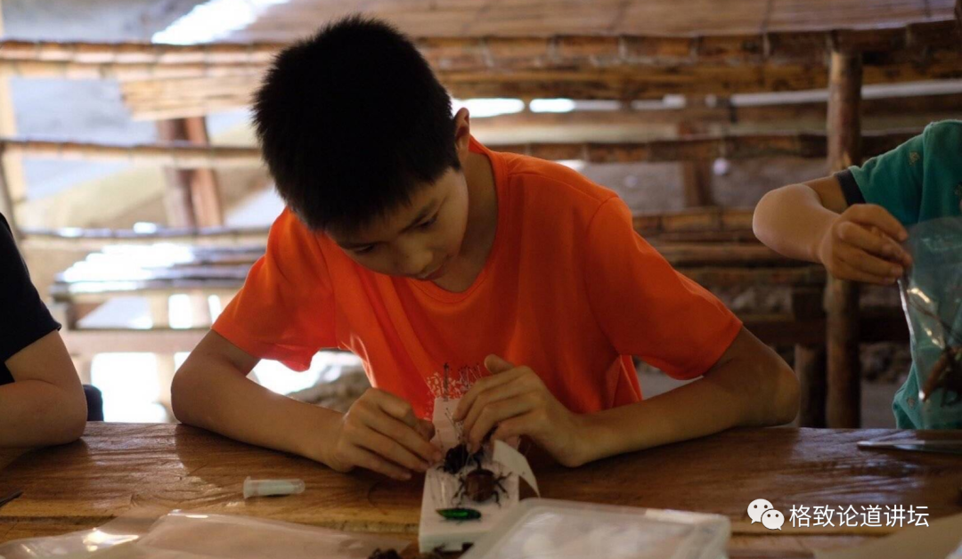 在家里养屎壳郎？你没有看错，我甚至还为它精心研制了一份食谱休闲区蓝鸢梦想 - Www.slyday.coM