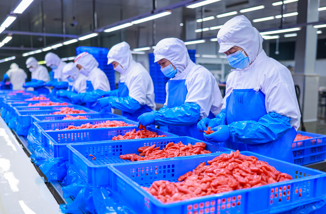 5月16日,在山东省荣成市俚岛镇一家海洋食品出口加工企业的生产充间