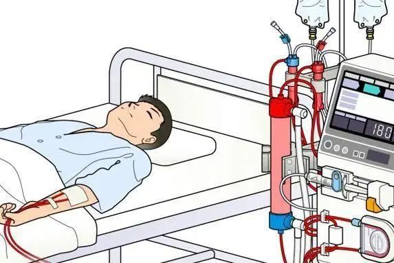 世界高血压日血液透析患者如何避免血压忽高忽低