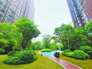 邻里之间传递着低碳健康的生活方式……这是我市许多小区刮起的"绿色