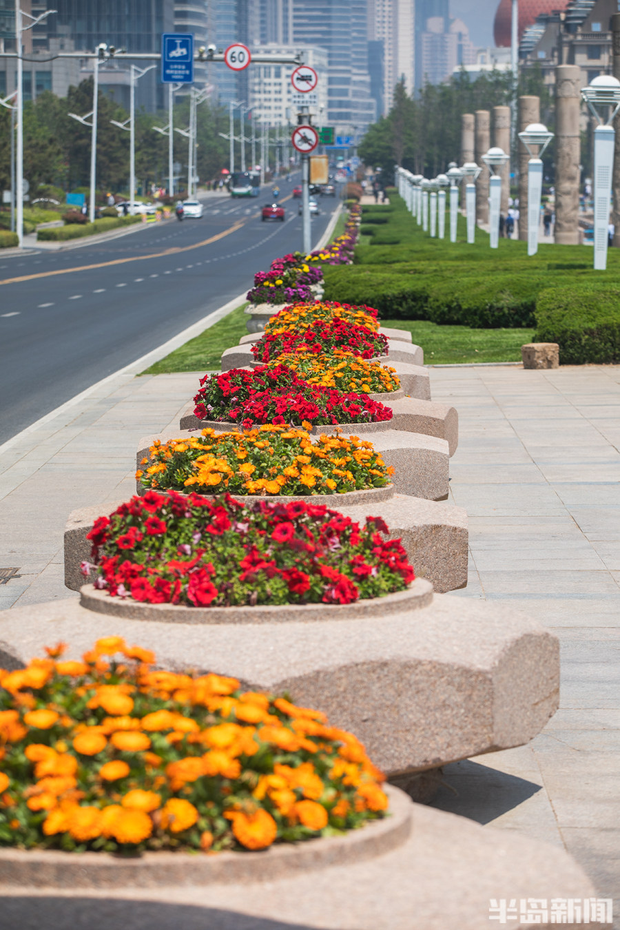 青岛东海西路鲜花扮海滨