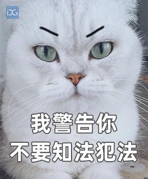 套路曝光！东莞一女子被骗583万，更崩溃的是…休闲区蓝鸢梦想 - Www.slyday.coM