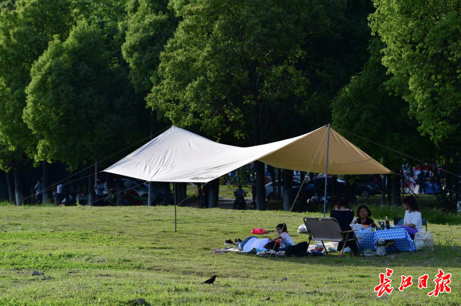 野外露营需注意这些问题