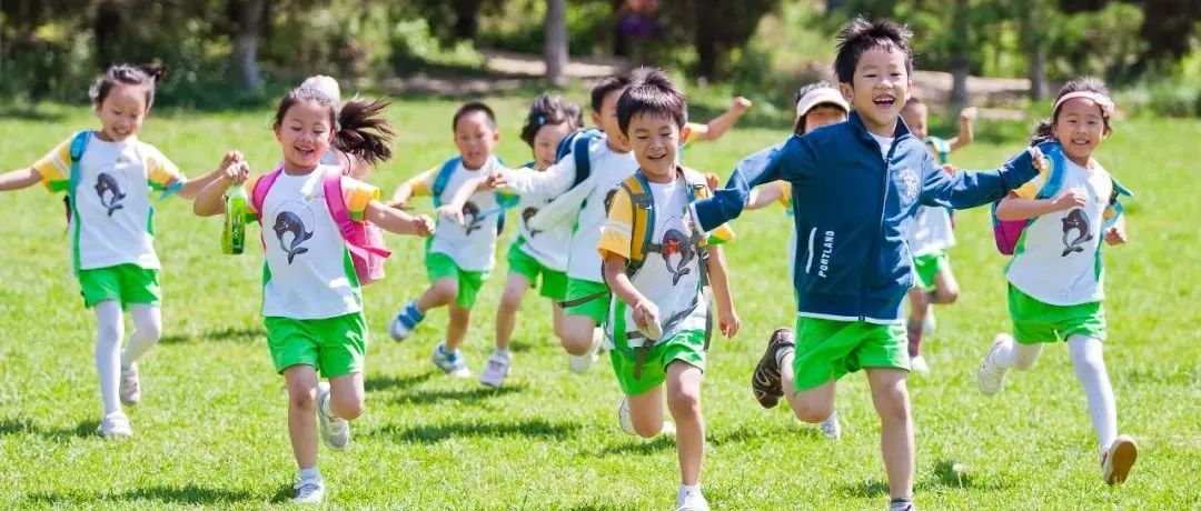 如何30秒快速登录栖凤楼品茶官网？全流程避坑攻略，帮你省下50%的时间！