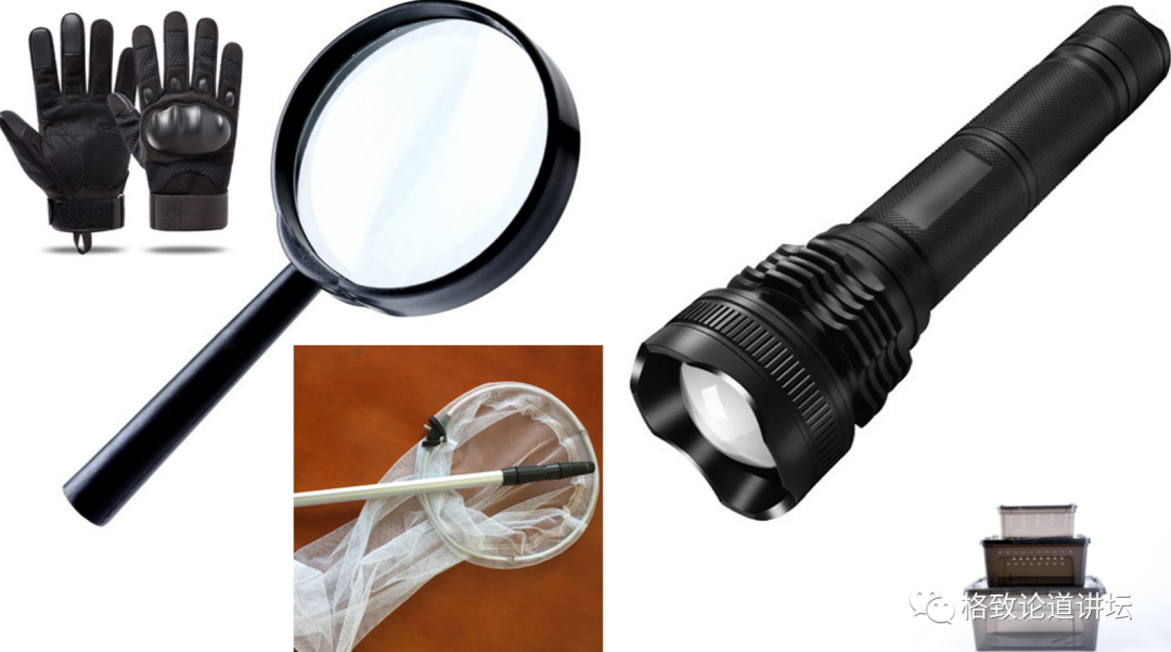 在家里养屎壳郎？你没有看错，我甚至还为它精心研制了一份食谱休闲区蓝鸢梦想 - Www.slyday.coM