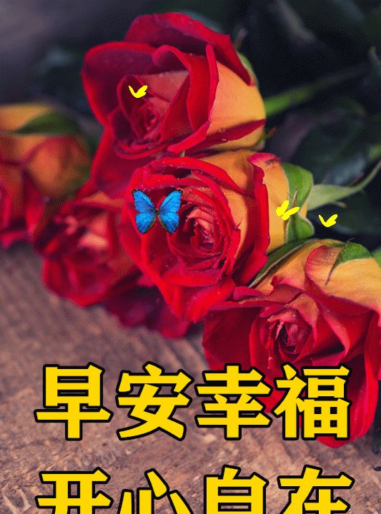 清晨祝福早上好的問候祝福語動畫表情早上好祝福語圖片大全