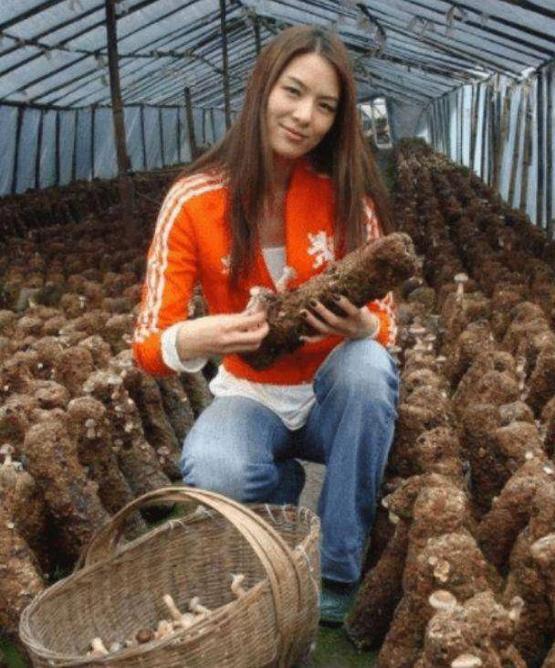 不得已归隐田园,今身价过亿|马艳丽|模特|蘑菇_新浪新闻