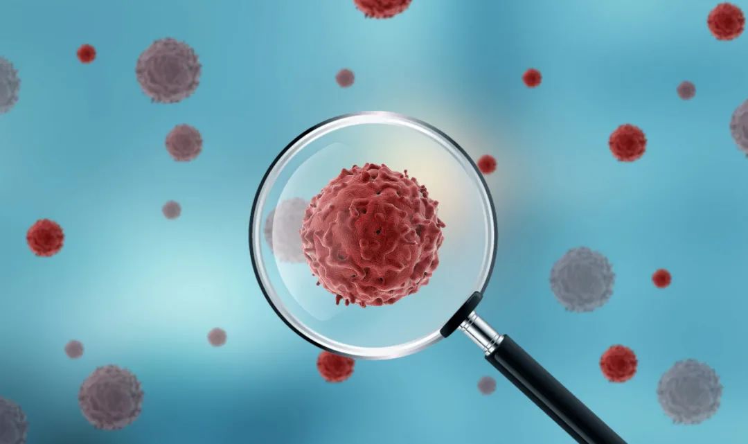 天津新增19名阳性感染者！6区重点人群明日核酸检测，包括中小学、幼儿园休闲区蓝鸢梦想 - Www.slyday.coM