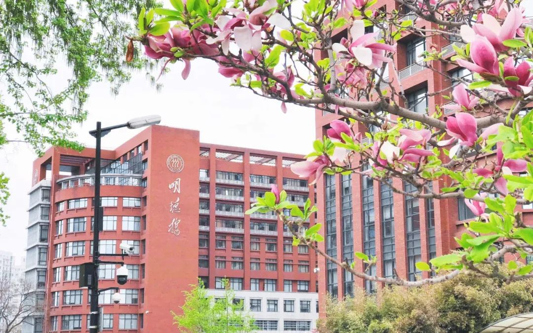 中国人民大学校园.图/新京报资料图