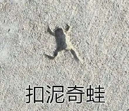 “榜一大哥”10天偷钢材13万，只为讨女主播欢心？休闲区蓝鸢梦想 - Www.slyday.coM