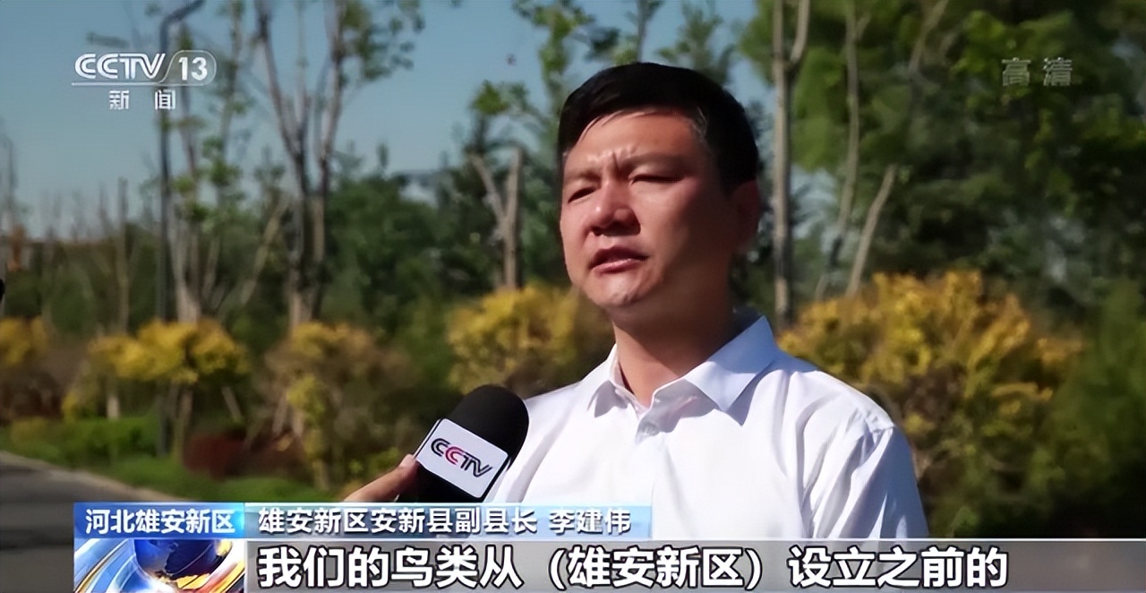 雄安新区安新县副县长李建伟:我们的鸟类从(雄安新区)设立之前的206种