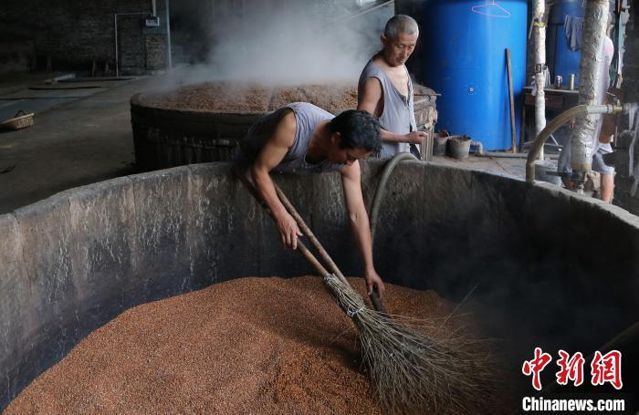 资料图：酿酒师傅正在进行古法酿酒的第一道工序——浸米。 王磊 摄