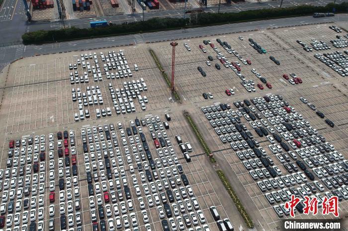 资料图:正待运出港的新车。 殷立勤 摄