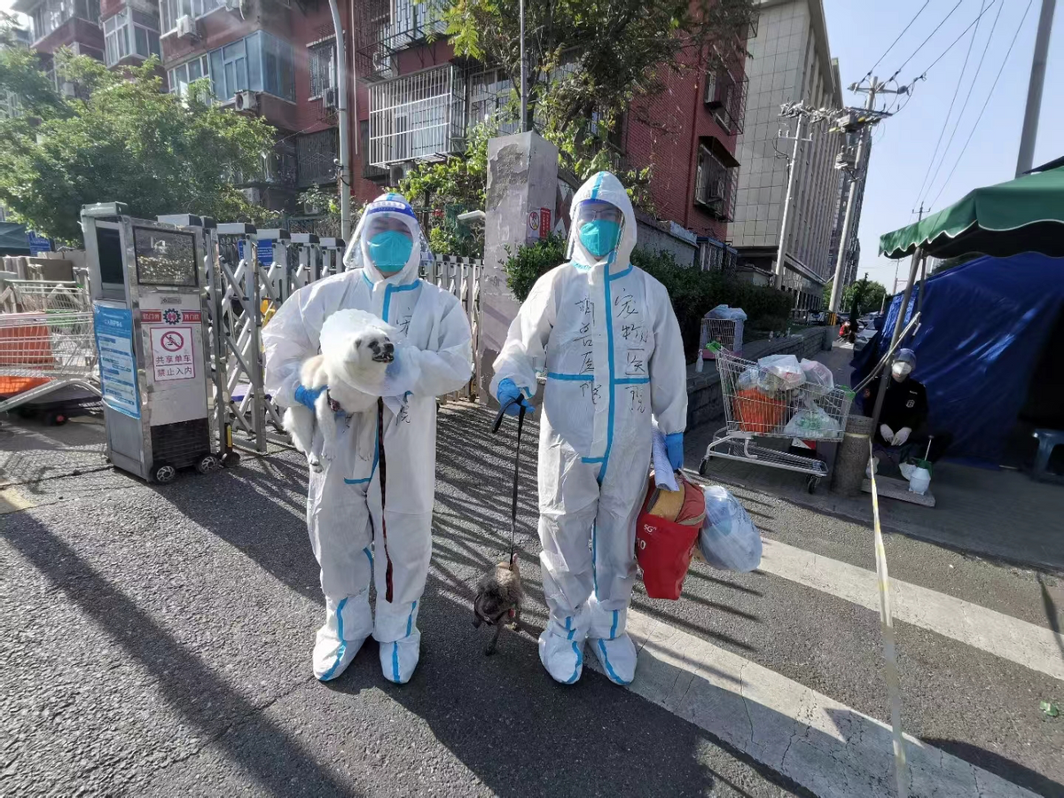 主人在隔离萌宠怎么办？北京12区50家宠物医院可转运安置休闲区蓝鸢梦想 - Www.slyday.coM