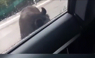 “榜一大哥”10天偷钢材13万，只为讨女主播欢心？休闲区蓝鸢梦想 - Www.slyday.coM