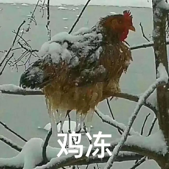 “榜一大哥”10天偷钢材13万，只为讨女主播欢心？休闲区蓝鸢梦想 - Www.slyday.coM