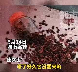 “榜一大哥”10天偷钢材13万，只为讨女主播欢心？休闲区蓝鸢梦想 - Www.slyday.coM