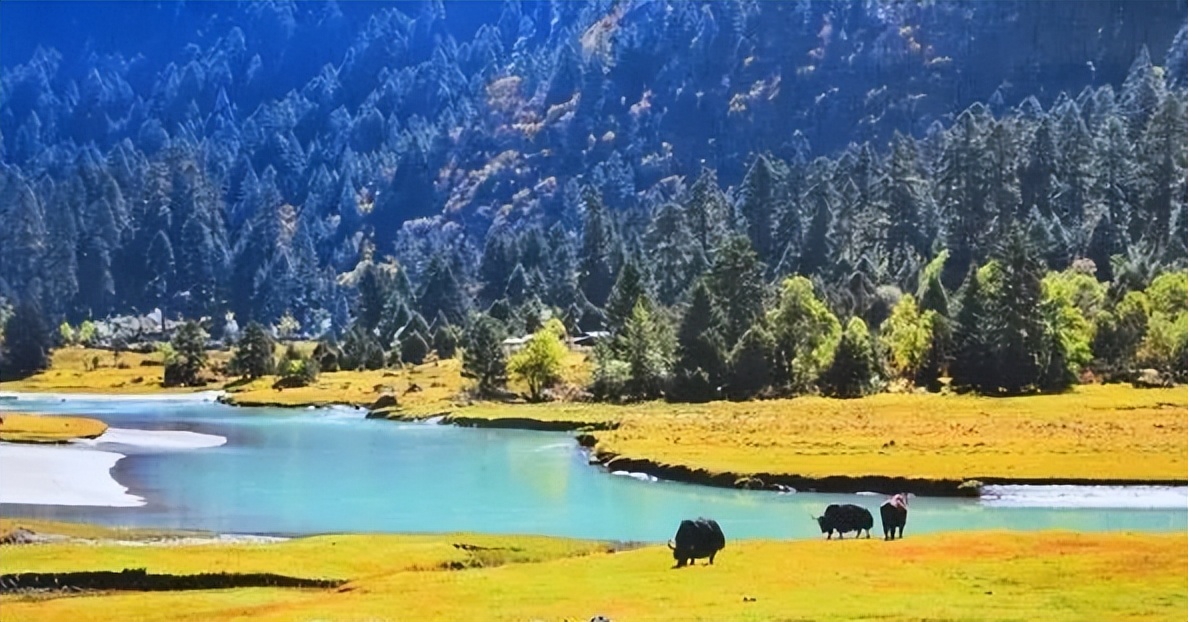 林芝市米林县原县委常委尼玛被开除党籍和公职