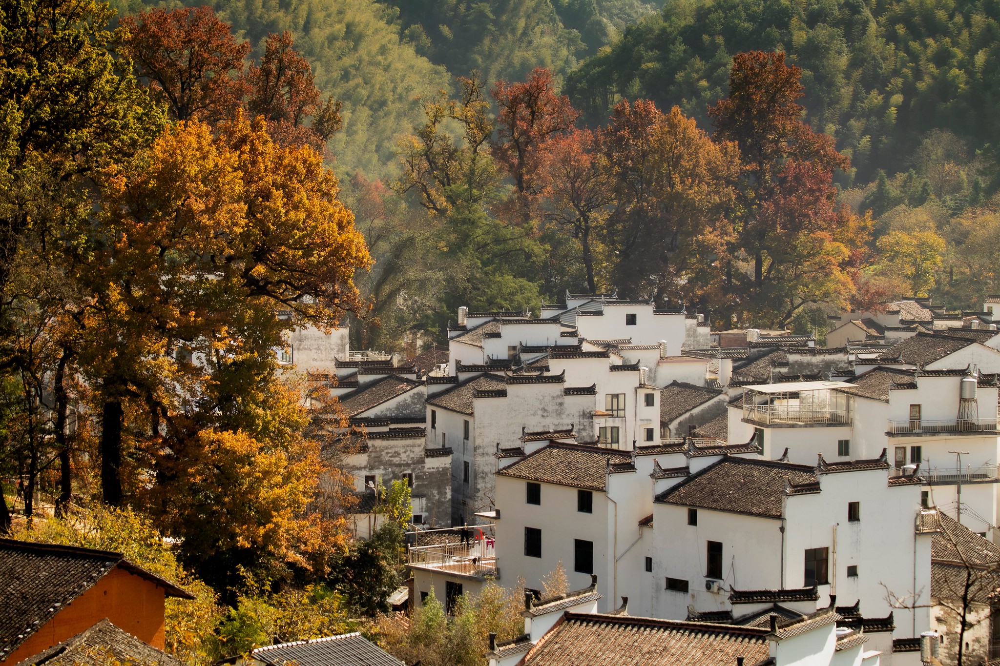 错过江西,是每个福建人最大的损失,有个隔壁邻居处处是美景|婺源|古镇
