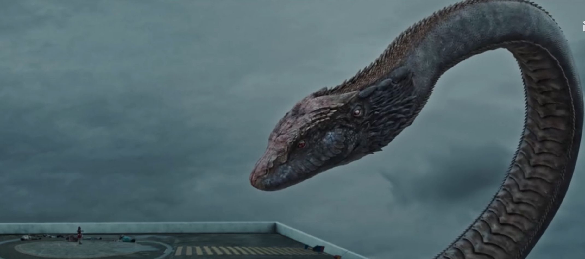 《人蛇大战》首播,2小时冲上飙升榜第一,女演员身材成最大看点__财经