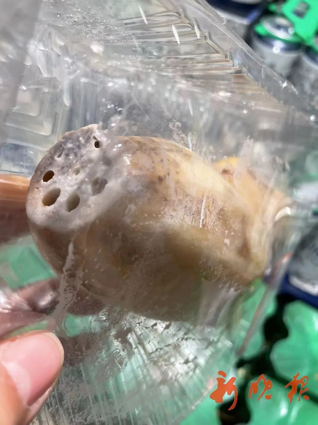 看到yuě哈市家乐福哈尔信竟卖变质果蔬渗出黏液刺鼻酸腐味