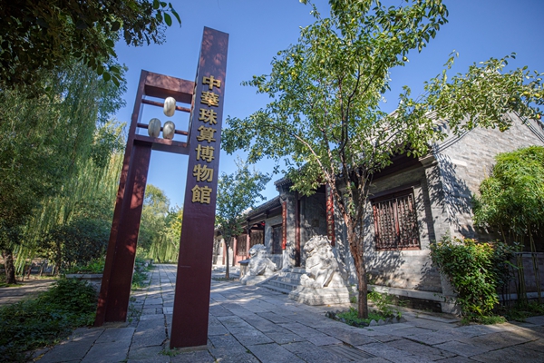 国际博物馆日感受台儿庄古城博物馆的文化魅力