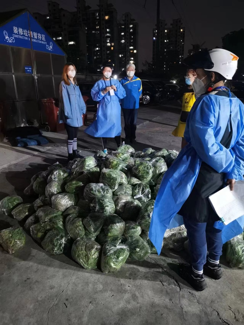 崇明岛的甘蓝菜、牛心菜烂在地里？倒逼而出的新链条，能否破解蔬菜滞销难题休闲区蓝鸢梦想 - Www.slyday.coM