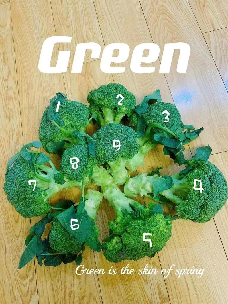 崇明岛的甘蓝菜、牛心菜烂在地里？倒逼而出的新链条，能否破解蔬菜滞销难题休闲区蓝鸢梦想 - Www.slyday.coM