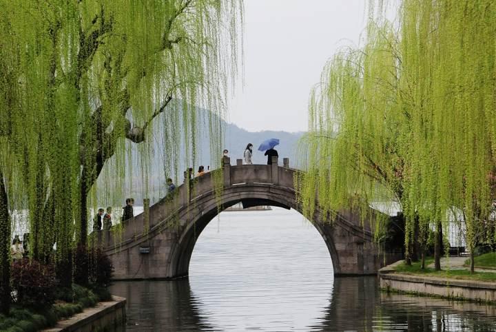 南山斋主67青青西湖柳