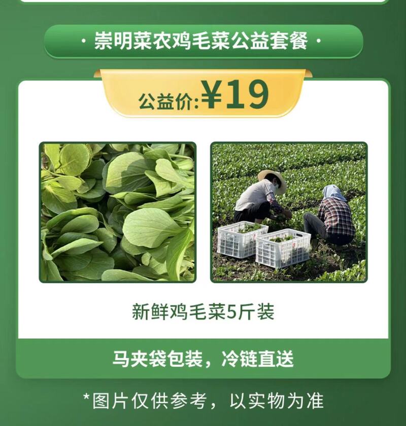 崇明岛的甘蓝菜、牛心菜烂在地里？倒逼而出的新链条，能否破解蔬菜滞销难题休闲区蓝鸢梦想 - Www.slyday.coM