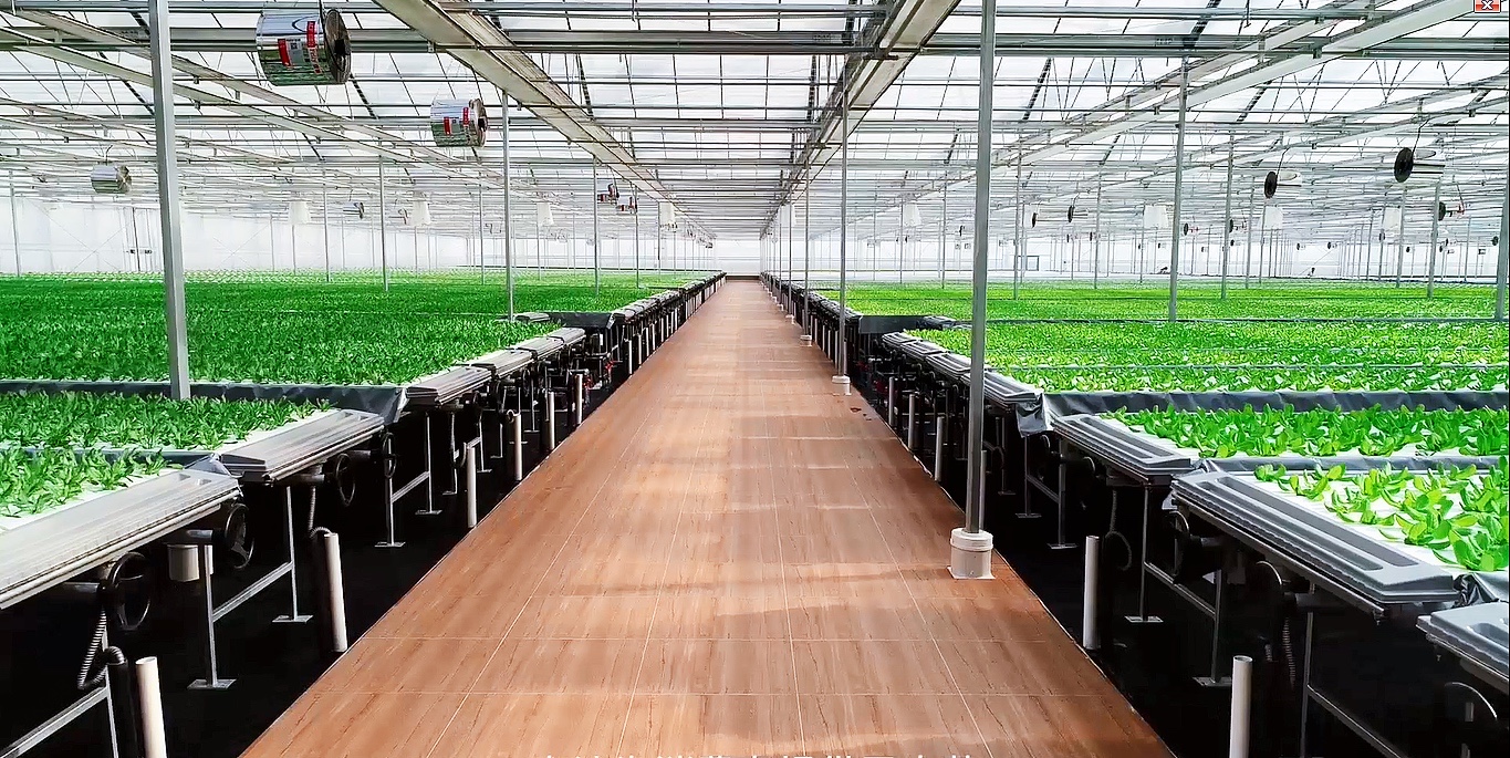 火星救援男主有这技术就不愁了城市副中心有座神奇的植物工厂