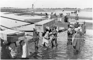 运送文物的板条箱到达水路。 © 牛津大学格里菲斯研究所