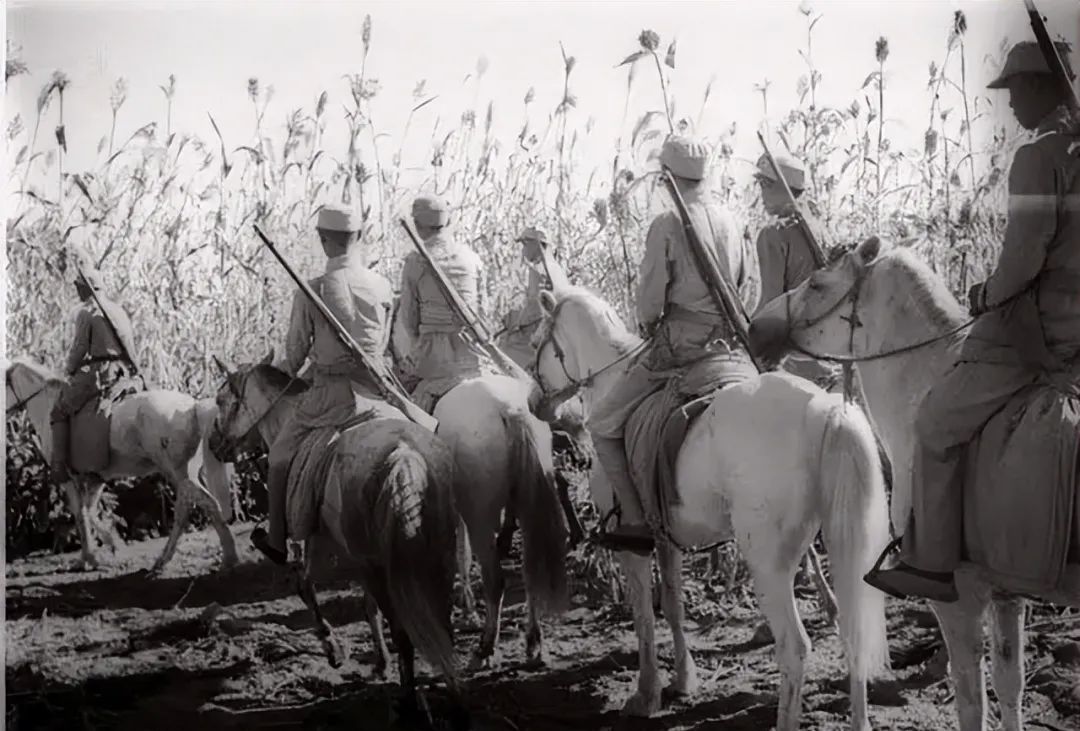 一日本兵在城郊牧马去了趟茅房后两百匹军马全被人给顺走了