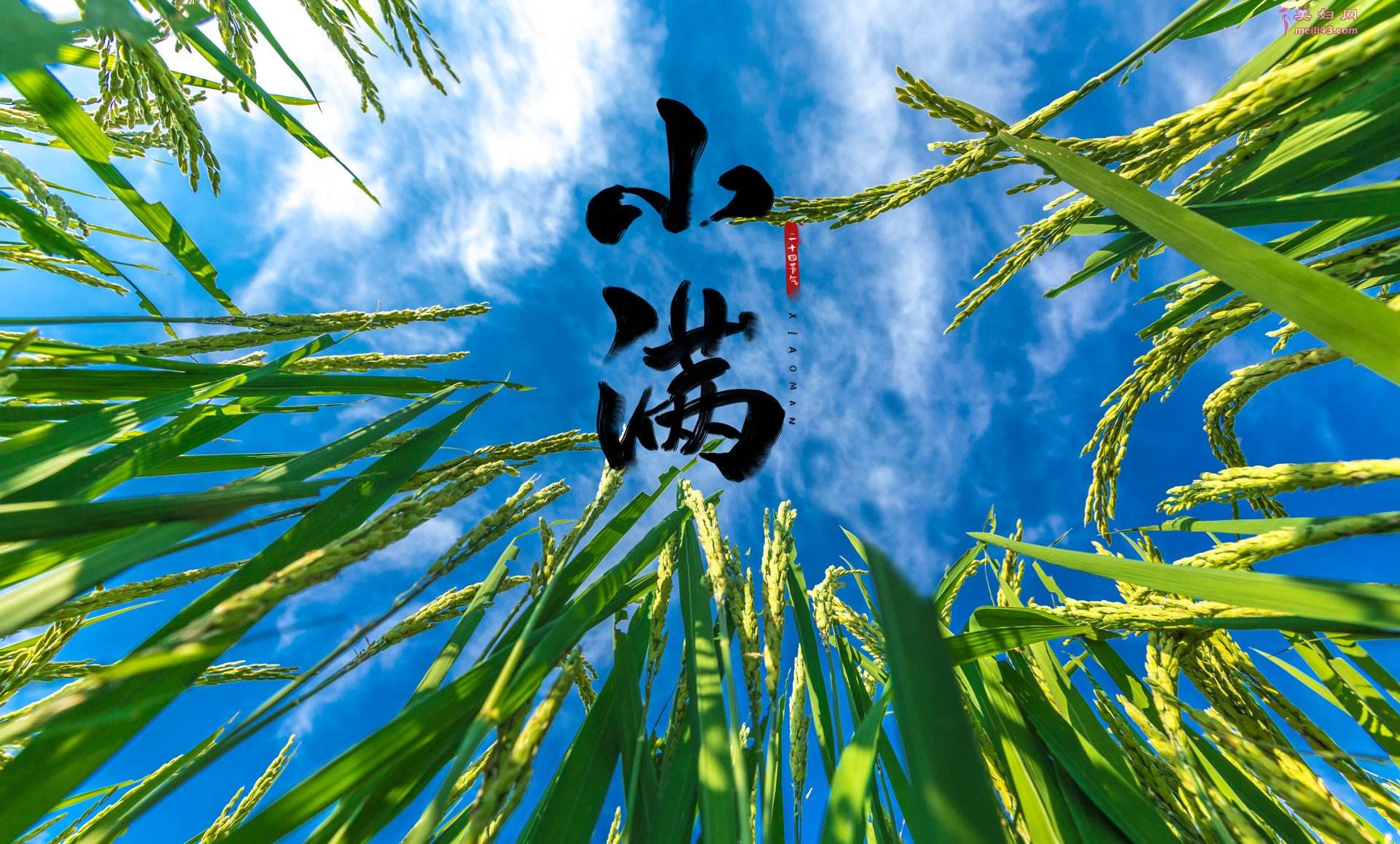 明日小满牢记食3肉吃2素少吃5味顺应时节轻松过夏