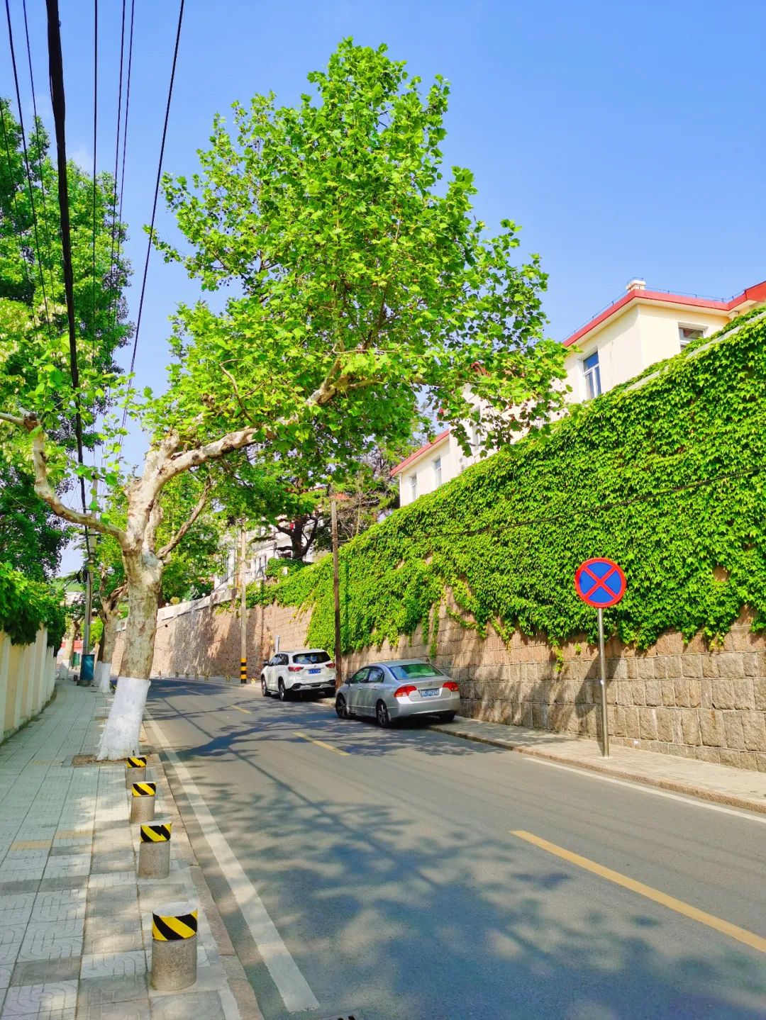 实拍青岛老城区这条路太好逛了