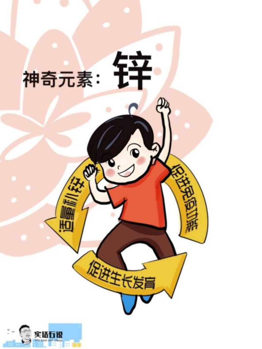 本文分为上中下3集,该篇为下集,主要介绍锌元素的补充.